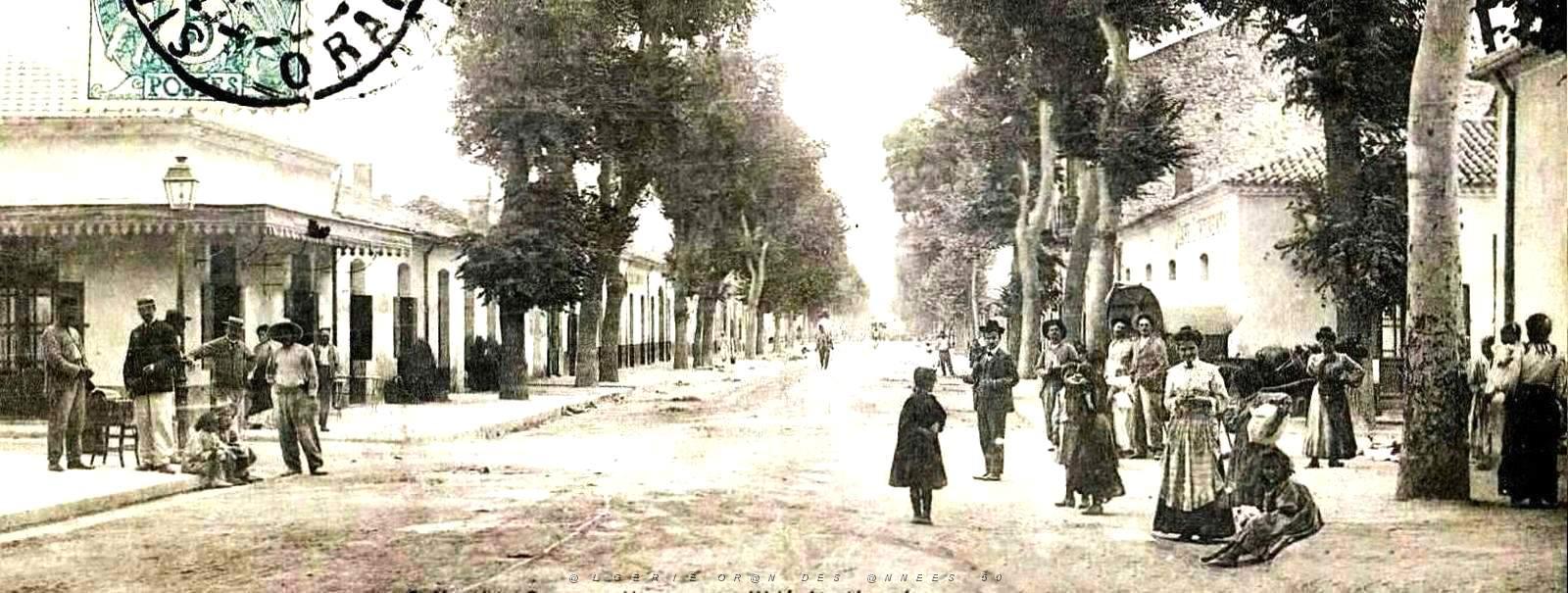 1016- Sidi-bel-Abbes - Avenue Kleber2.jpg